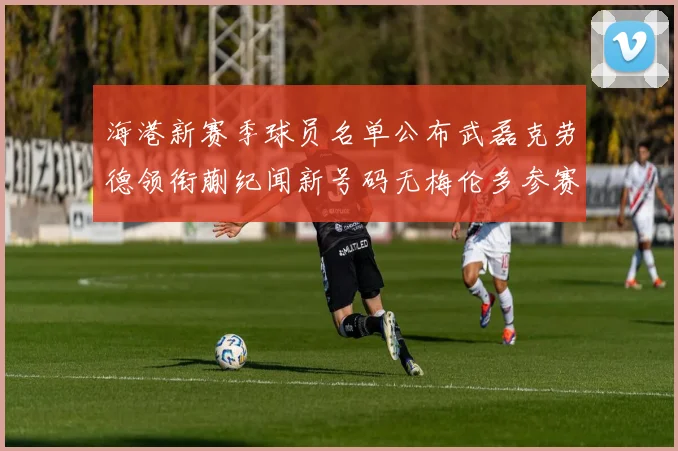 海港新赛季球员名单公布武磊克劳德领衔蒯纪闻新号码无梅伦多参赛