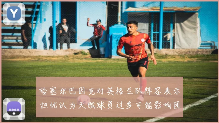 哈塞尔巴因克对英格兰队阵容表示担忧认为天赋球员过多可能影响团队合作